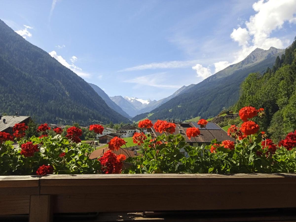 Apartment Fernerblick Neustift im Stubaital Exterior photo